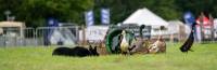 Tickets for the 2025 Penrith Show are now on sale!